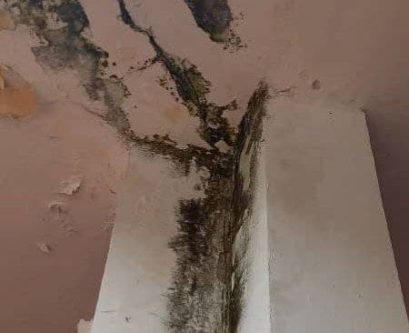 Escuela Rómulo Gallegos en Anzoátegui: Un reflejo del abandono estatal