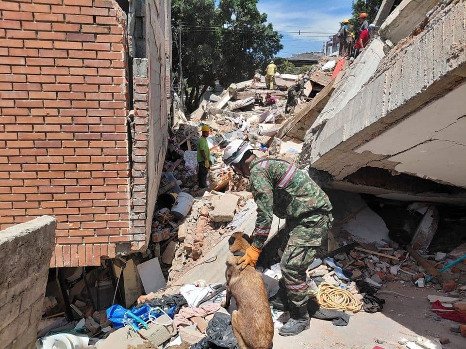 Urko, el heroico perro rescatista que lucha por sobrevivientes en Colombia