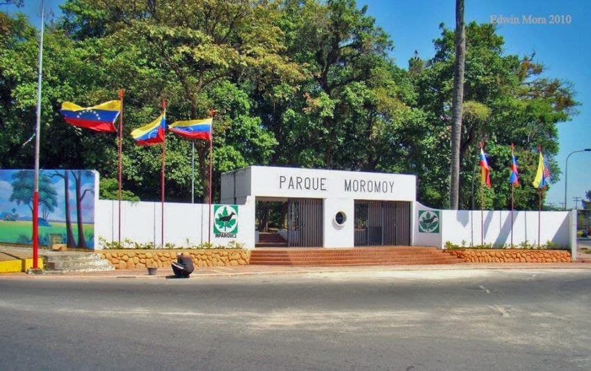 Barinas aprobó impuestos en moneda extranjera sin consulta pública