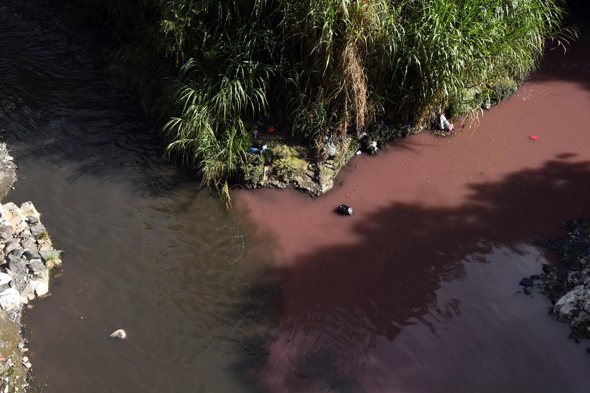Alerta en Guatemala: Río Las Vacas cambia de color por posible contaminación