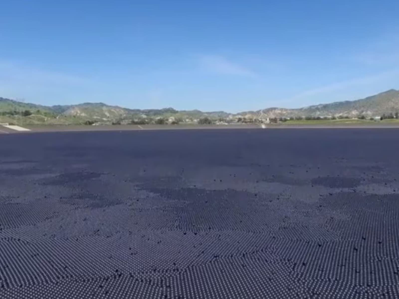 Cómo Los Ángeles Innovó para Ahorrar 300 Millones de Galones de Agua