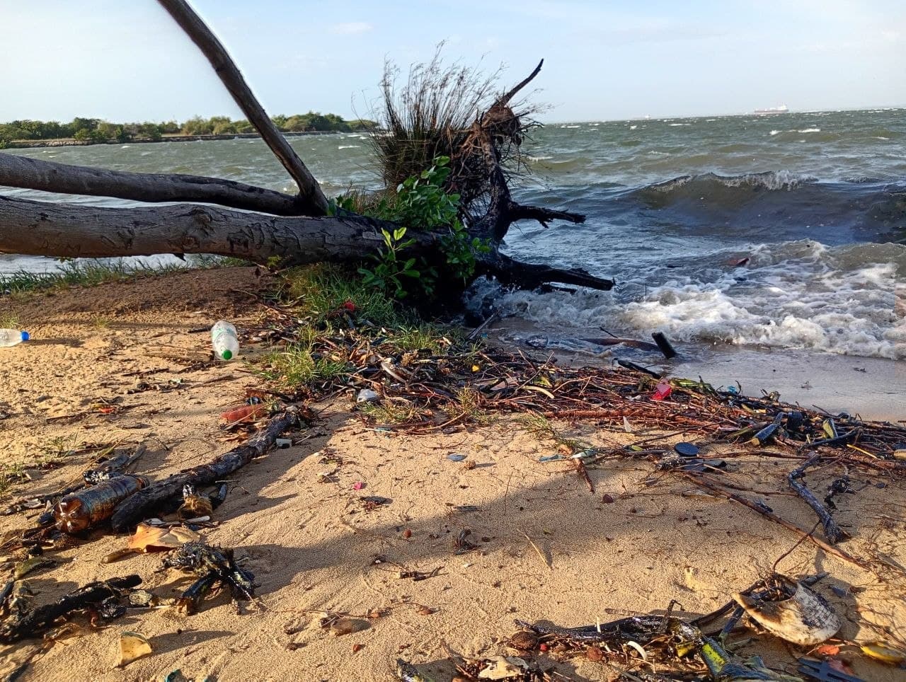 Crisis Ambiental en el Lago de Maracaibo: Riesgos para Pescadores y Petroleros